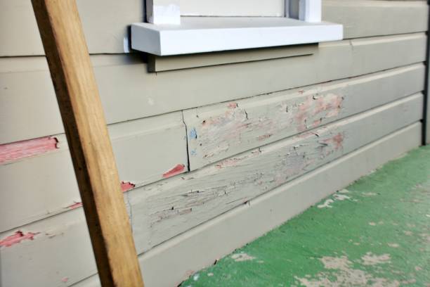 Best Custom Trim and Detailing for Siding  in St Marys, GA
