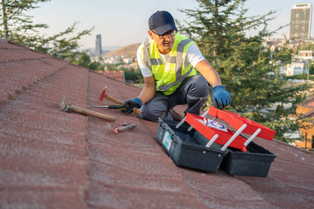 Best Insulated Siding Installation  in St Marys, GA